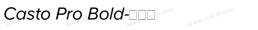 Casto Pro Bold字体转换